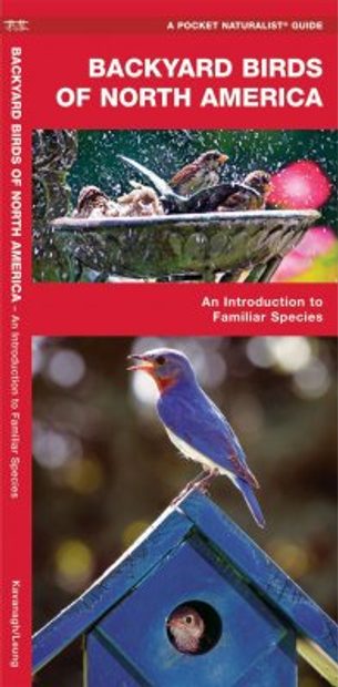 Backyard Birds of North America