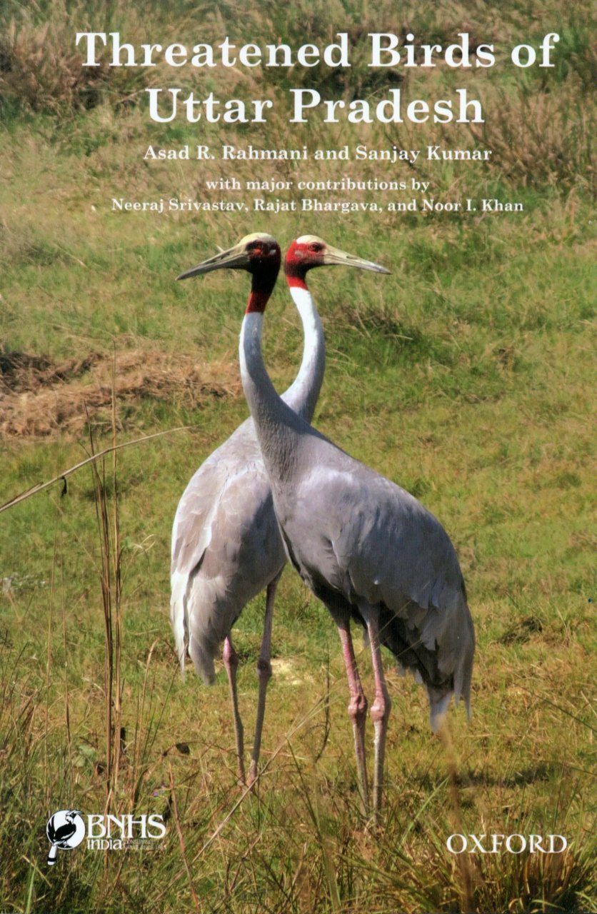 Threatened Birds of Uttar Pradesh | NHBS Field Guides & Natural History
