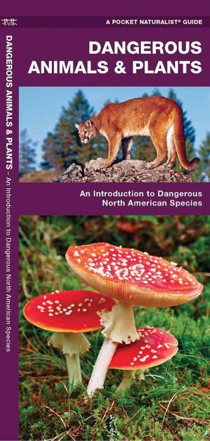 Dangerous Animals & Plants