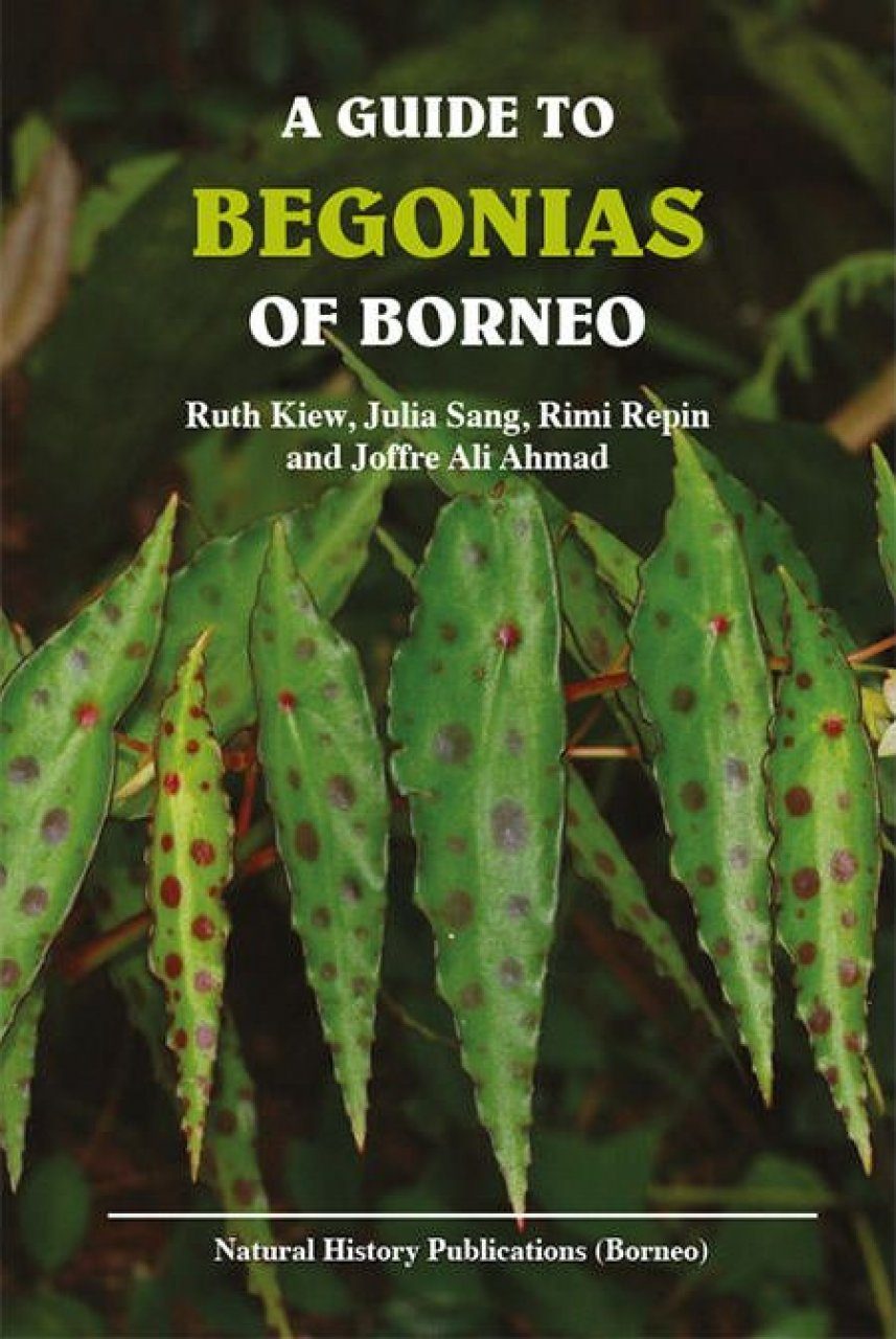 A Guide to Begonias of Borneo | NHBS Field Guides & Natural History