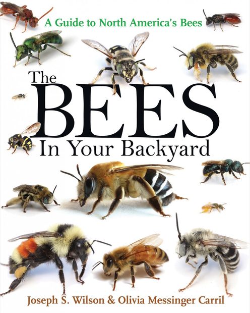 The Bees in Your Backyard