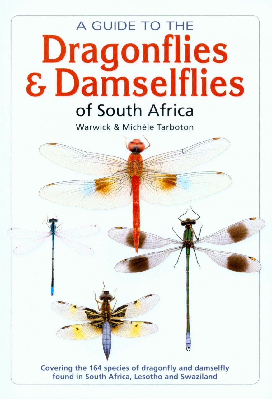 A Guide To The Dragonflies Amp Damselflies Of South Africa