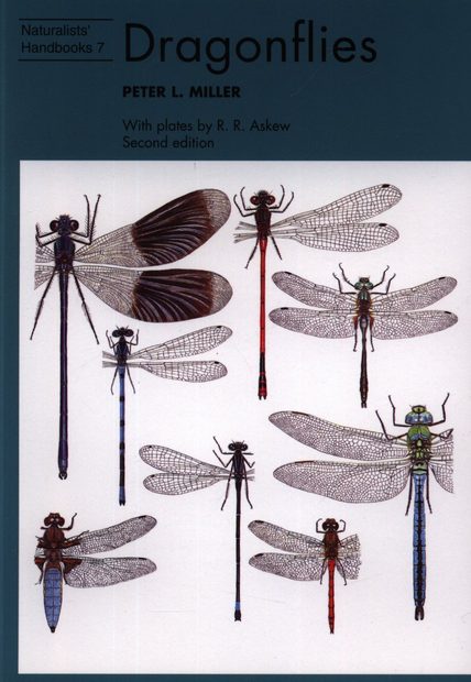 Dragonflies