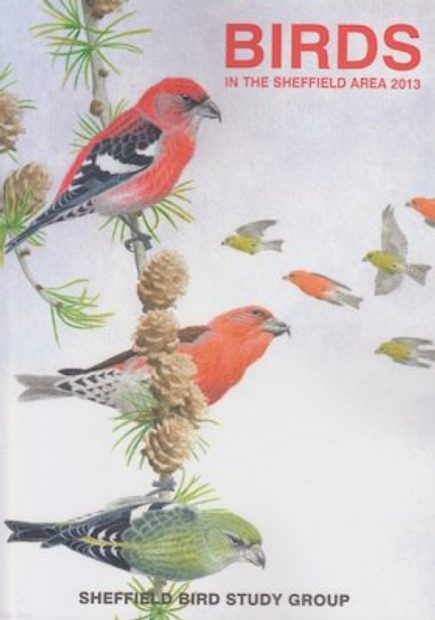 Birds in the Sheffield Area 2013