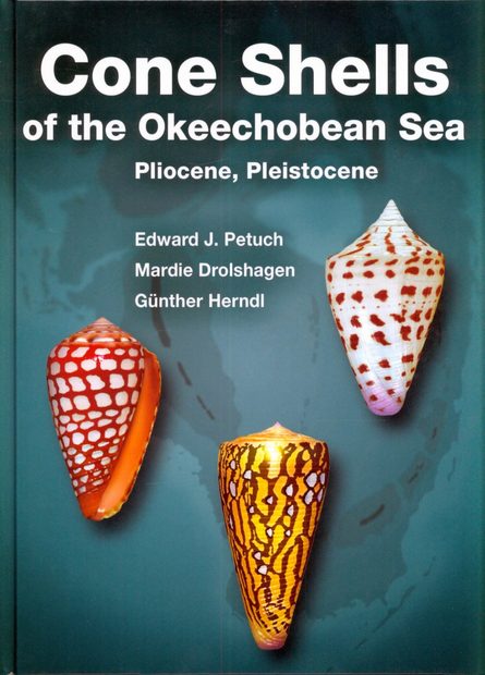Cone Shells of the Okeechobean Sea
