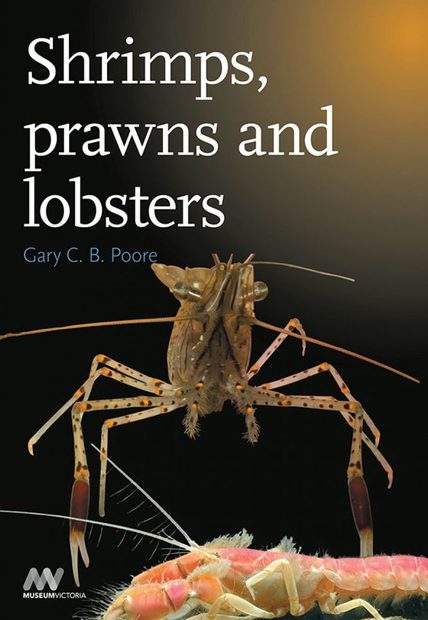 Shrimps, Prawns and Lobsters