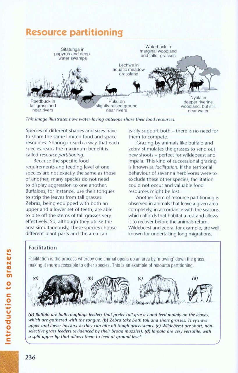 Grasses & Grazers of Botswana and the Surrounding Savanna | NHBS Field  Guides & Natural History