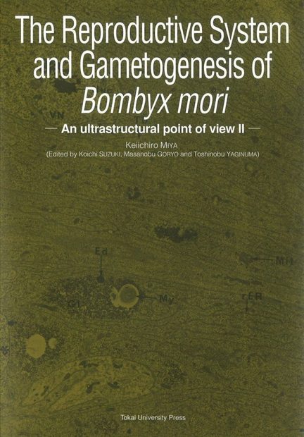 The Reproductive System and Gametogenesis of Bombyx mori