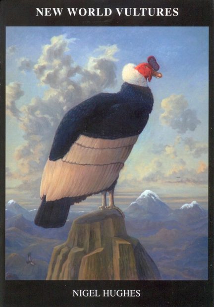 The New World Vultures