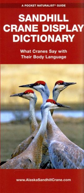 Sandhill Crane Display Dictionary