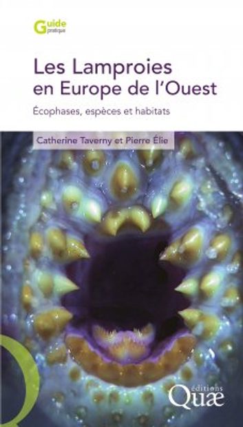 Les Lamproies en Europe de l'Ouest