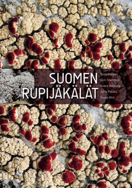 Suomen Rupijäkälät [Crustose Lichens of Finland]