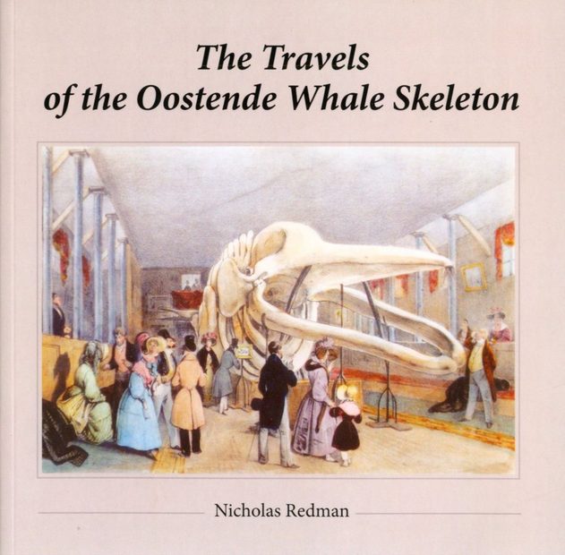 The Travels of the Oostende Whale Skeleton