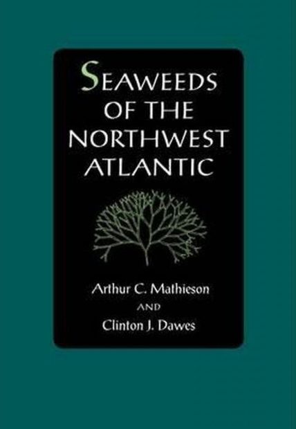 Seaweeds of the Northwest Atlantic
