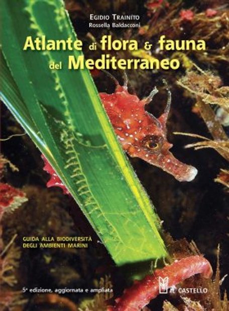 Atlante di Flora & Fauna del Mediterraneo [Atlas of Flora & Fauna of the Mediterranean]