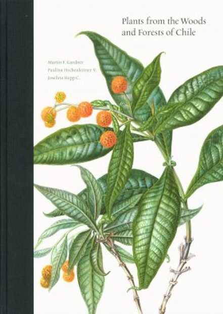 Plants from the Woods and Forests of Chile