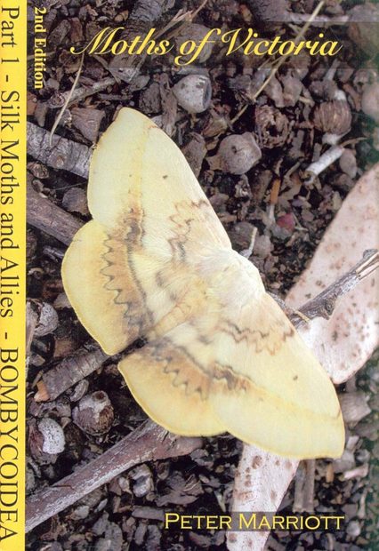 Moths of Victoria, Part 1: Silk Moths and Allies – Bombycoidea