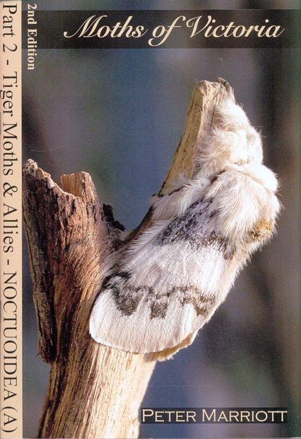 Moths of Victoria, Part 2: Tiger Moths and Allies – Noctuoidea (A)