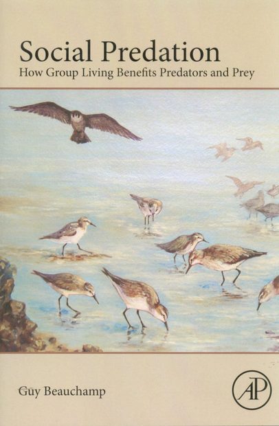 Social Predation