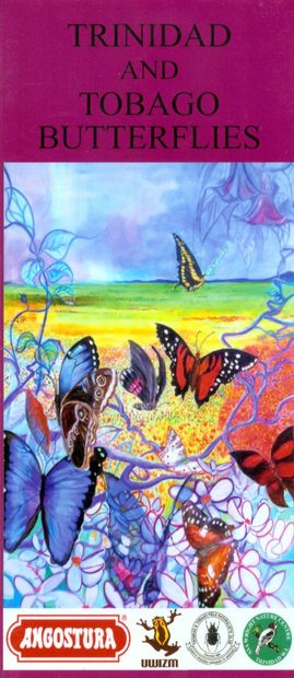 Trinidad and Tobago Butterflies