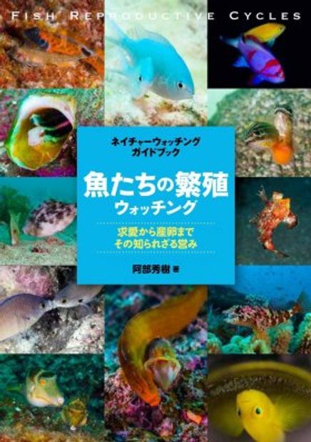 Fish Reproductive Cycles [Japanese]