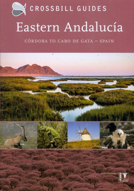 Crossbill Guide: Eastern Andalucía