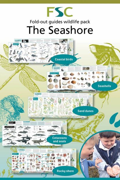FSC Wildlife Pack: Seashores