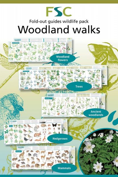 FSC Woodlands Wildlife Pack