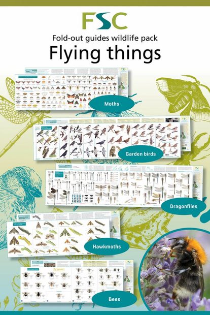 FSC Wildlife Pack: Winged Insects