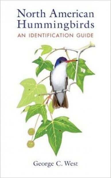 North American Hummingbirds