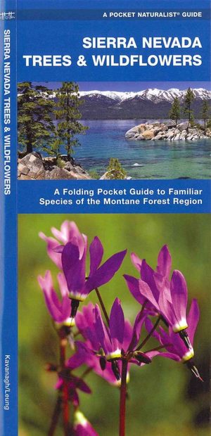 Sierra Nevada Trees & Wildflowers