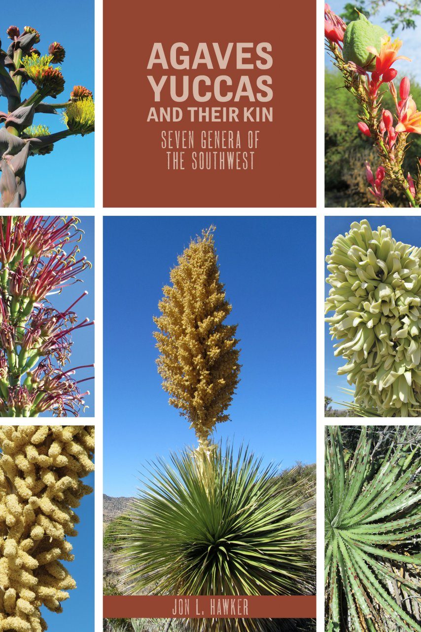 Agaves Yucca And Their Kin Seven Genera Of The Southwest Grover E
Murray Studies In The American Southwest