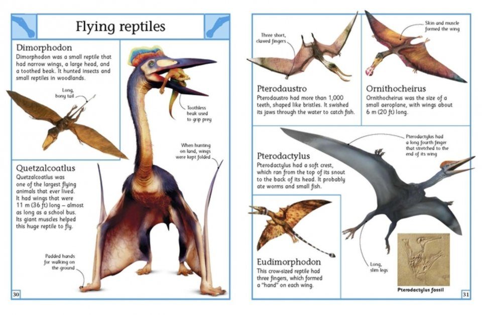 The Big Noisy Book of Dinosaurs | NHBS Academic & Professional Books