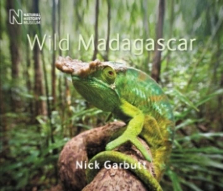 Wild Madagascar