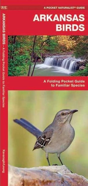 Arkansas Birds
