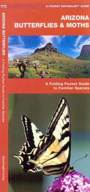 Arizona Butterflies & Moths