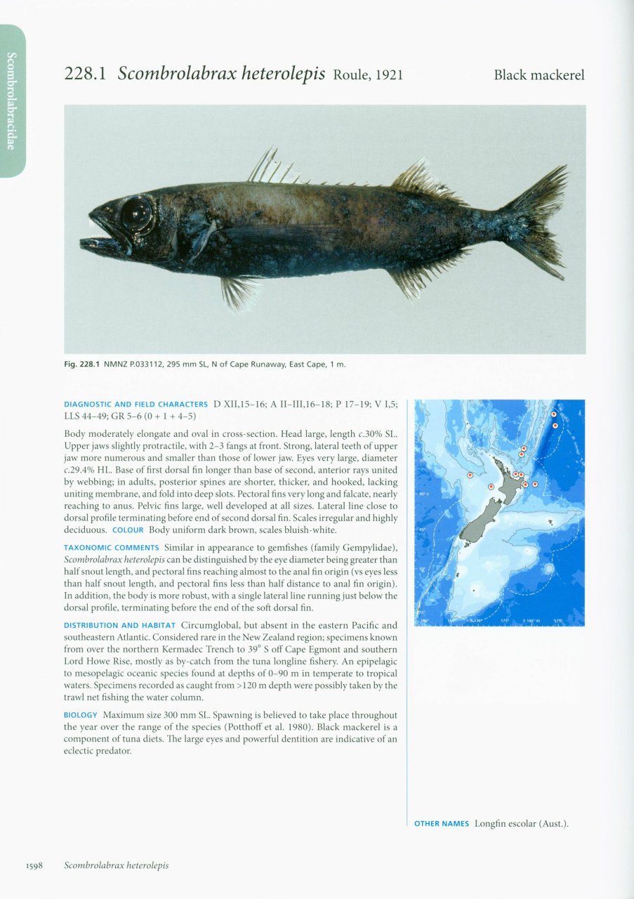 Fishes of Aotearoa - Potton & Burton