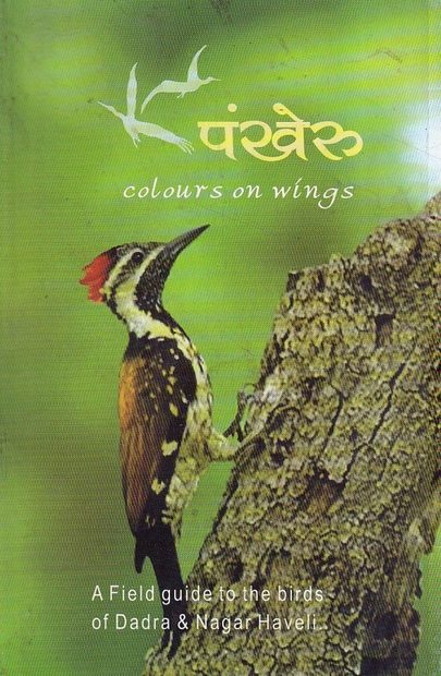 Pankheru - Colours on Wings