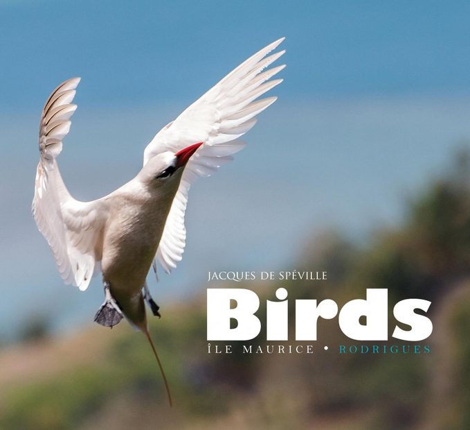 Birds of Mauritius and Rodrigues / Birds: Île Maurice – Rodrigues