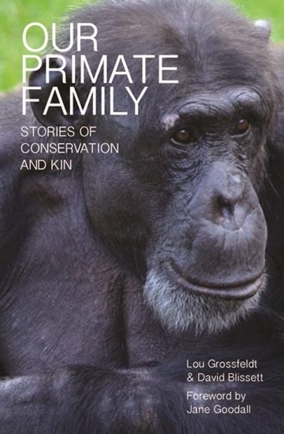 Our Primate Family