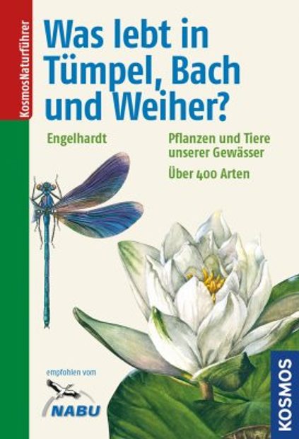 Was Lebt in Tümpel, Bach und Weiher?: Pflanzen und Tiere Unserer Gewässer [What Lives in Lakes, Streams and Pond? The Plants and Animals of Our Waters]