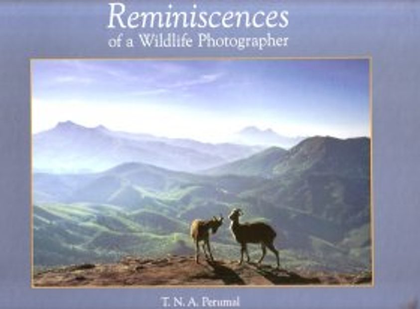 Reminiscences of a Wildlife Photographer