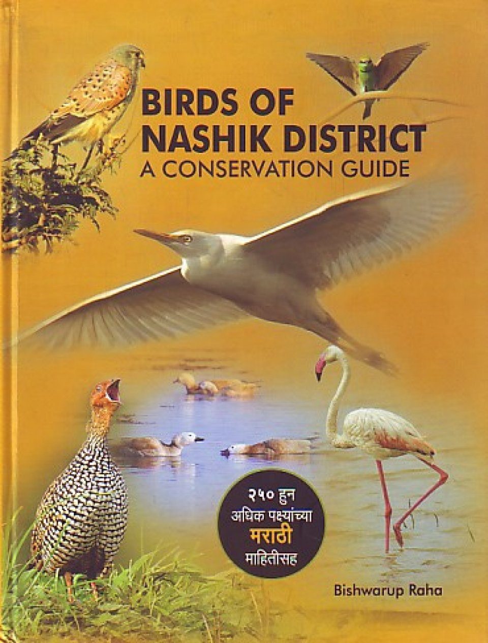 Birds of Nashik District: A Conservation Guide | NHBS Academic & Professional Books Birds of Nashik District: A Conservation Guide | NHBS Academic & Professional Books