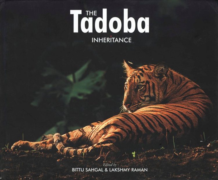 The Tadoba Inheritance