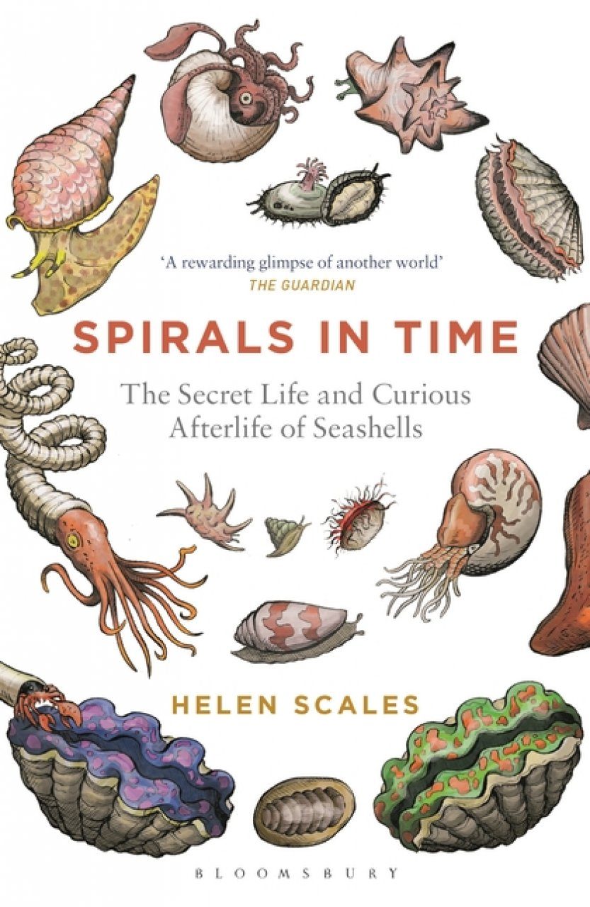 Spirals In Time The Secret Life And Curious Afterlife Of