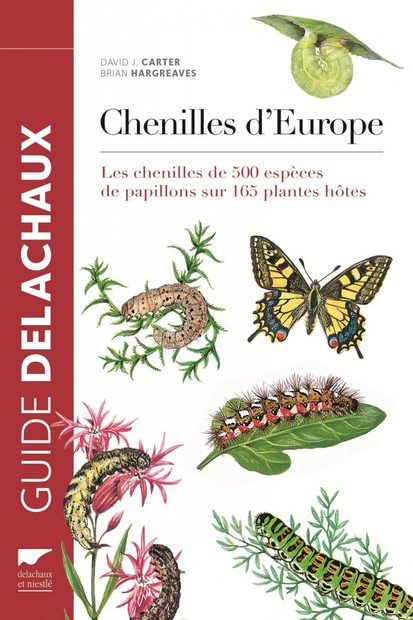Guide des Chenilles d'Europe: Les Chenilles de Plus de 500 Espèces de Papillons sur 165 Plantes Hôtes [Collins Field Guide to Caterpillars of Britain and Europe]