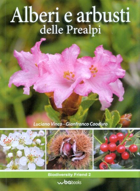 Alberi e Arbusti delle Prealpi [Trees and Shrubs of the Alpine Foothills]
