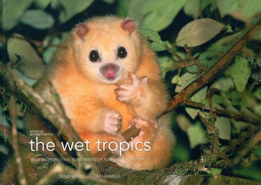 The Wet Tropics