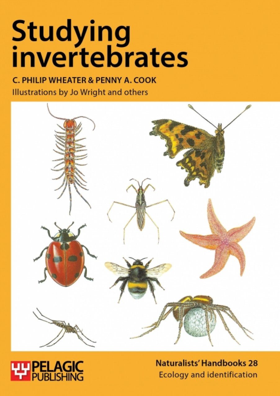 Studying Invertebrates Nhbs Field Guides Amp Natural History