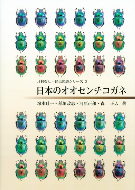 Phelotrupes auratus of Japan [Japanese]